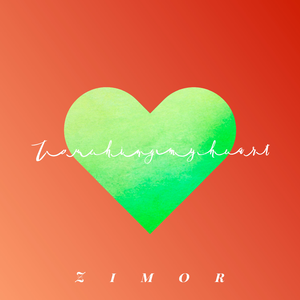 双手脚铐口球锁入笼子文
