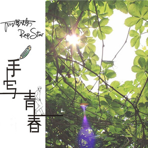 双手脚铐口球锁入笼子文

