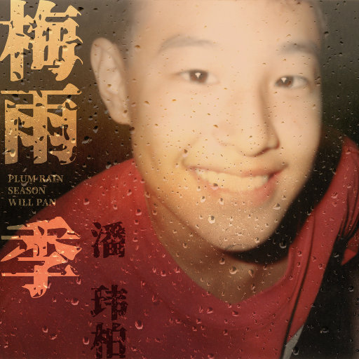 双手脚铐口球锁入笼子文
